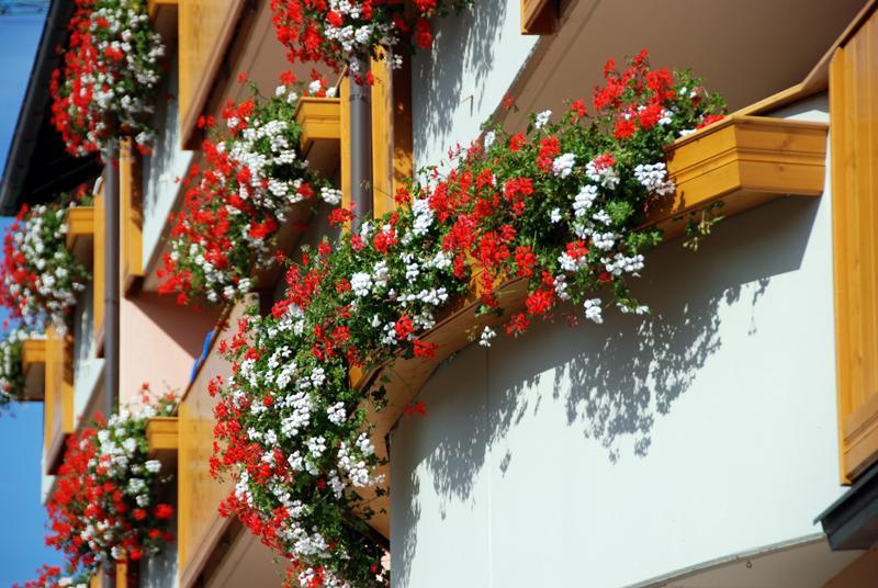 Residence Antares Andalo Εξωτερικό φωτογραφία